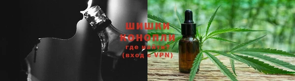 трава Беломорск